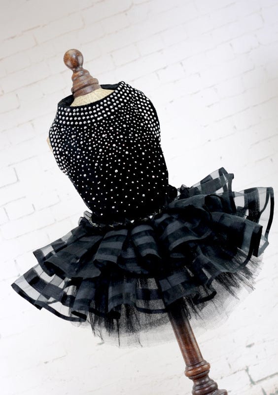 Pet wedding dress dog outfit | Dog skirt wedding dress | Cute bridal dress for dogs | Elegant pet dress for weddings | Puppy wedding outfit with skirt | Formal dog dress for special events | Dog princess dress for weddings | Pet bride costume dress | Fancy dog outfit with lace skirt | Wedding ceremony dress for dogs